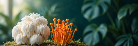 Lion's mane and cordyceps mushrooms side by side on a botanical backdrop